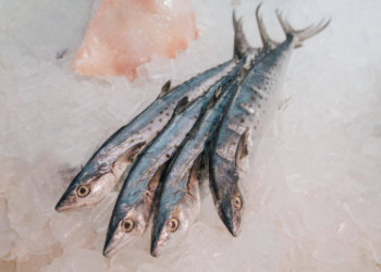 Seafood Expo 2019