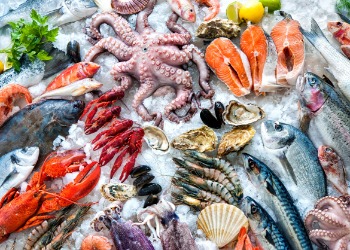 FEIRA SEAFOOD EXPO 2020