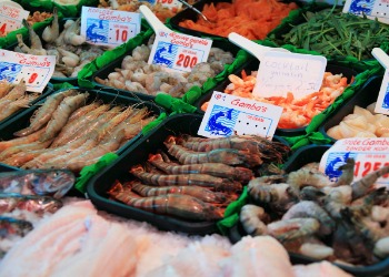 CANCELADO/ADIADO - SEAFOOD EXPO GLOBAL 2020 - Bruxelas