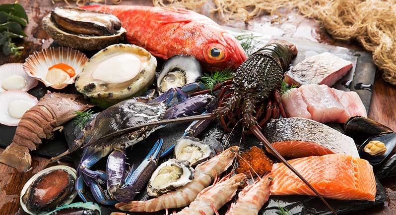 ÚLTIMOS DIAS: PARTICIPE DA SEAFOOD EXPO NORTH AMERICA 2019