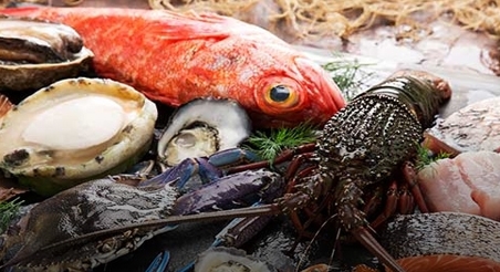 ÚLTIMOS DIAS: PARTICIPE DA SEAFOOD EXPO NORTH AMERICA 2019