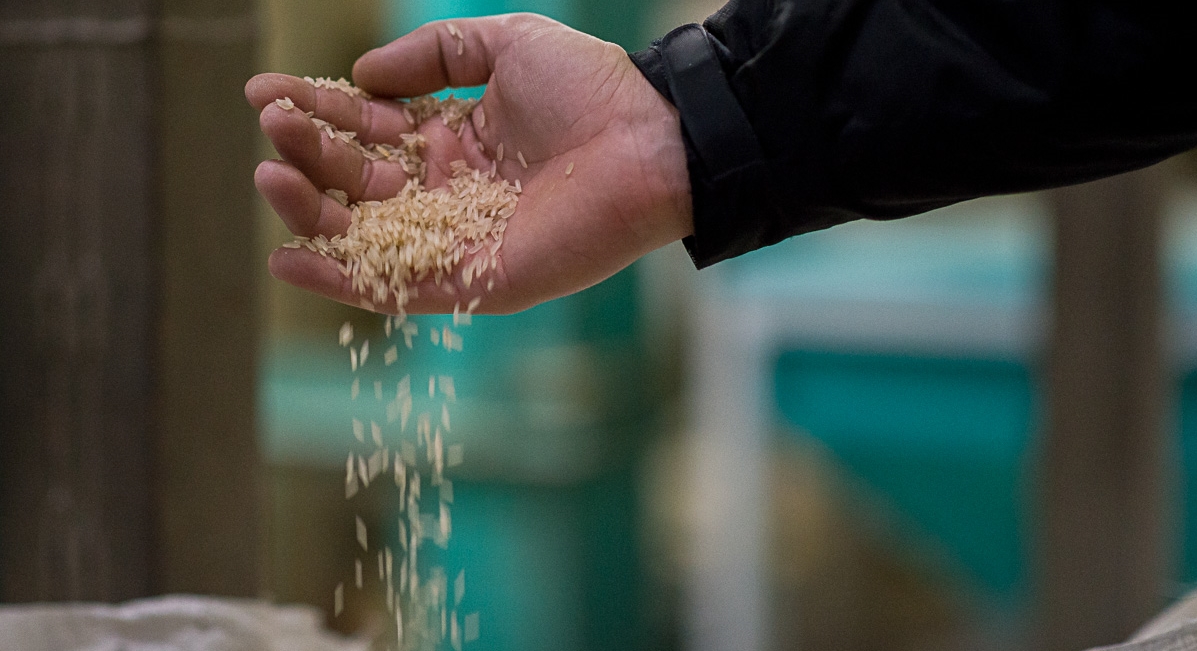 BRAZILIAN RICE PARTICIPARÁ DA FEIRA AMERICAS FOOD AND BEVERAGE