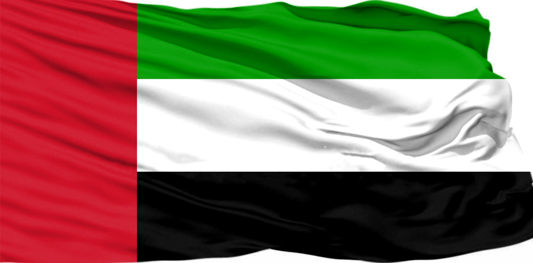 Emirados Árabes Unidos: oportunidades de internacionalização