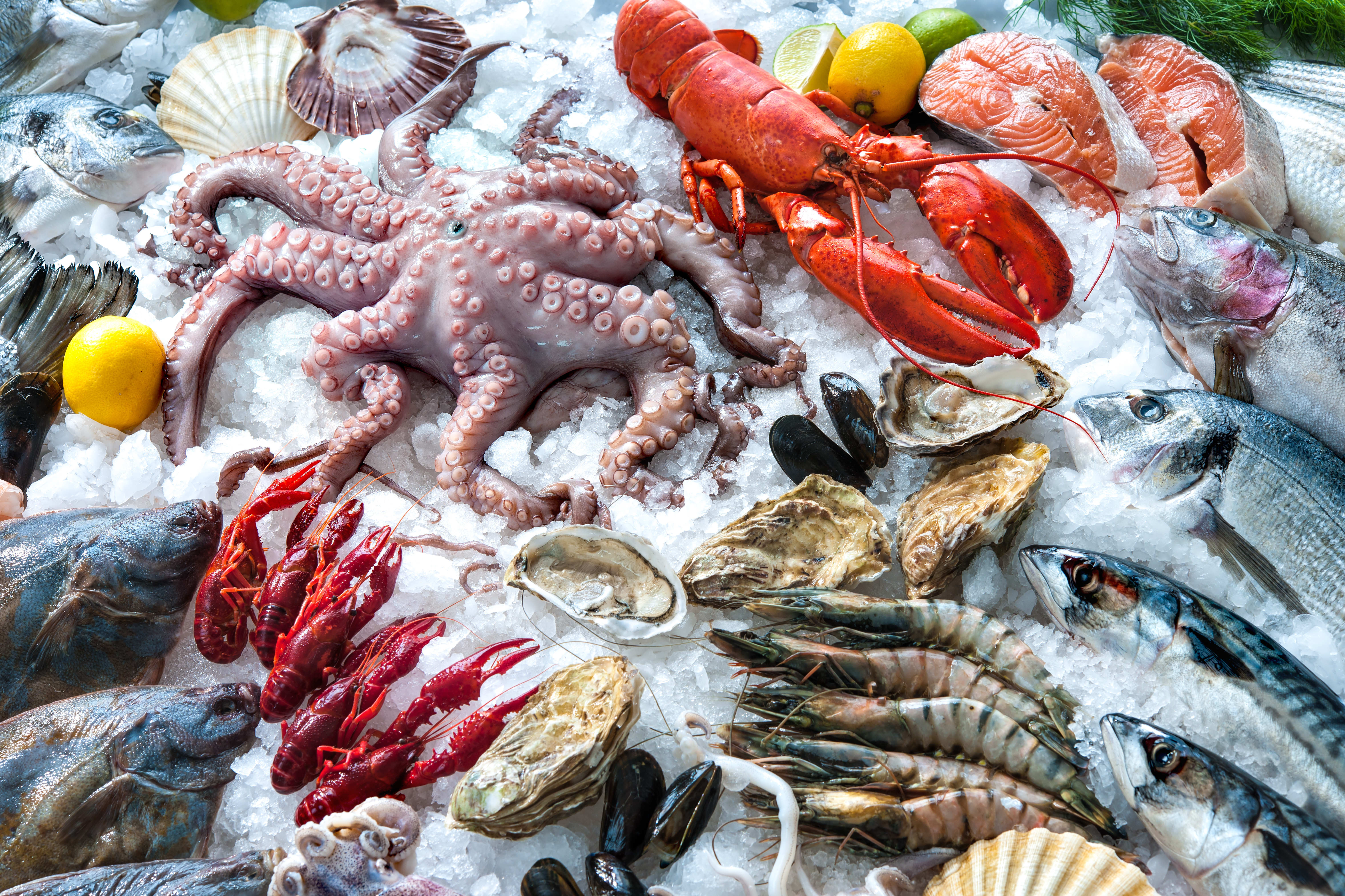Seafood tem inscrições abertas até dia 29 de setembro