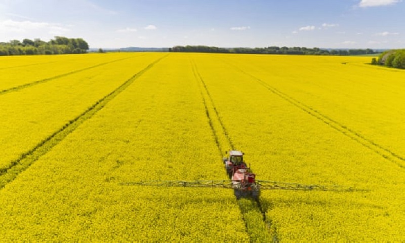 O uso de pesticidas na União Europeia