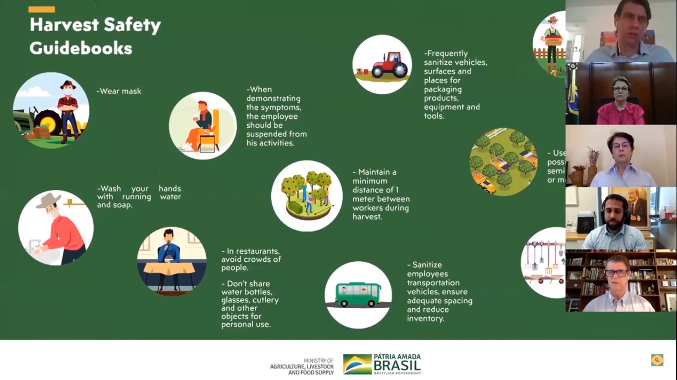 Covid-19: Brasil cumpre protocolos e entregará cafés sustentáveis ao mundo