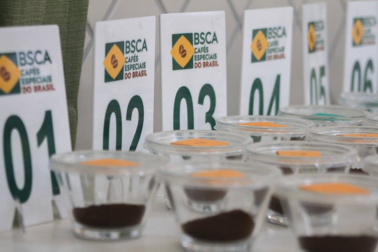 Café especial: leilão dos vencedores do Cup of Excellence quebra recordes