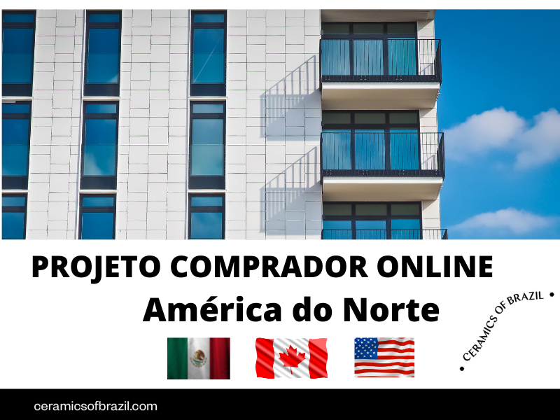 ANFACER realiza o Projeto Comprador Online voltado para a América do Norte com apoio da Apex-Brasil