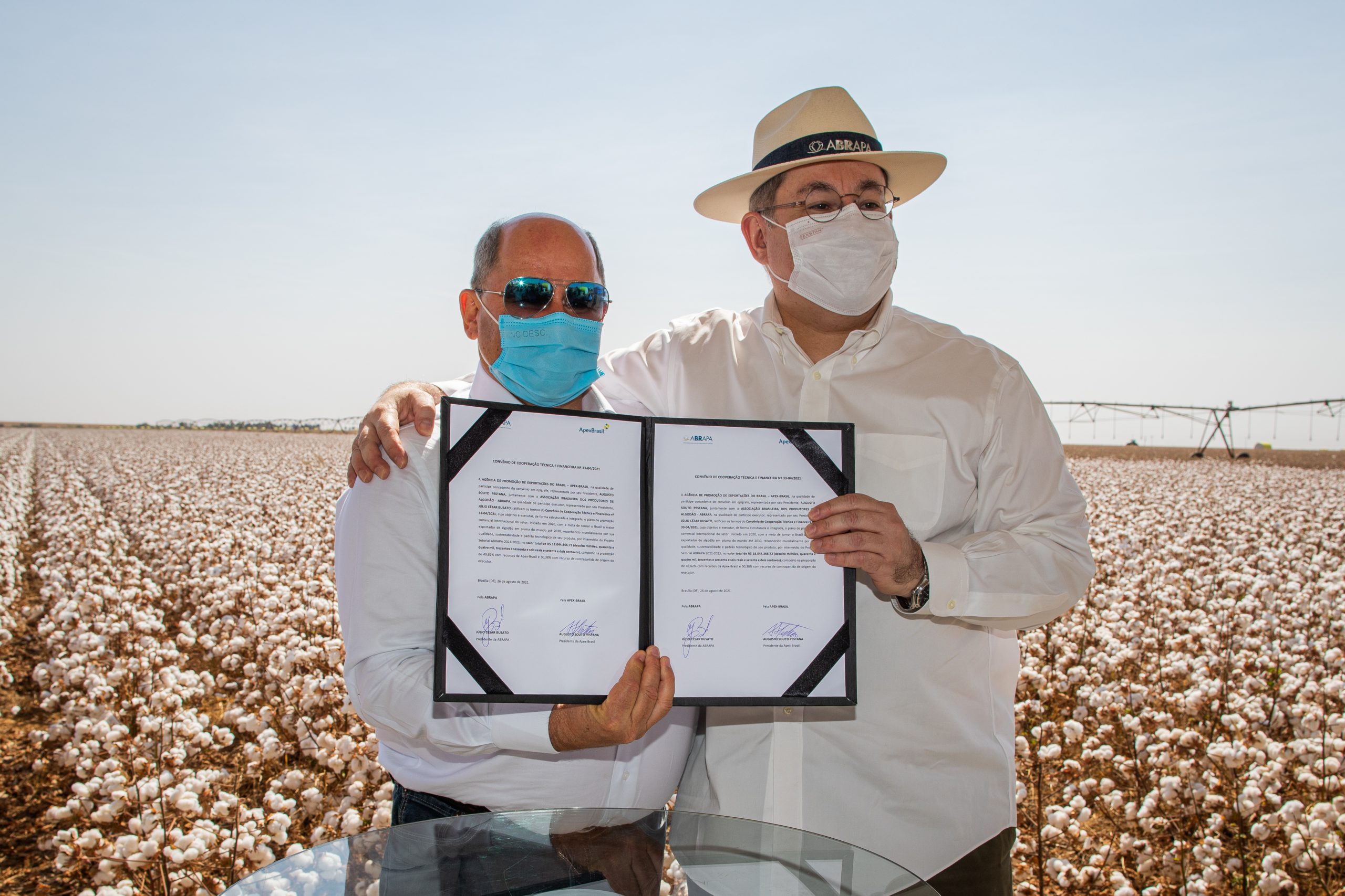 Abrapa e a Apex-Brasil renovam parceria para promoção do algodão brasileiro