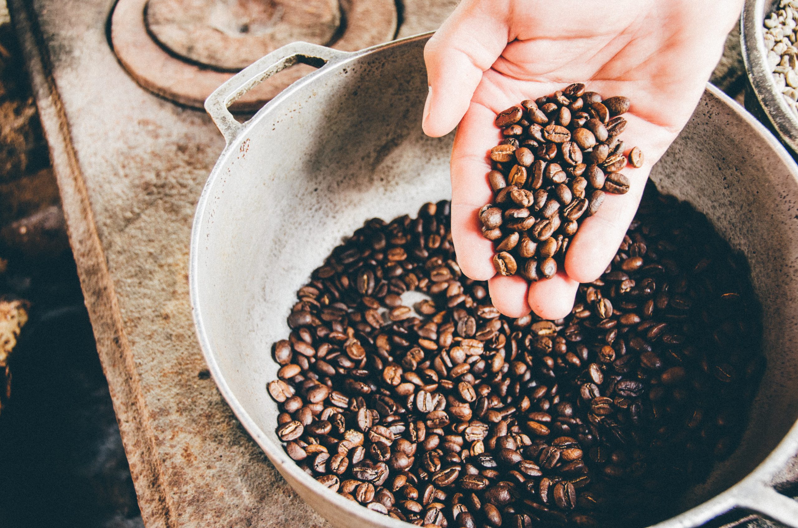 Programa de Qualificação para Exportação potencializa atividade cafeeira em Castelo