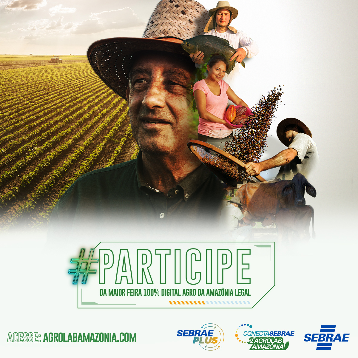 Apex-Brasil participa do maior evento virtual de agronegócios da Amazônia