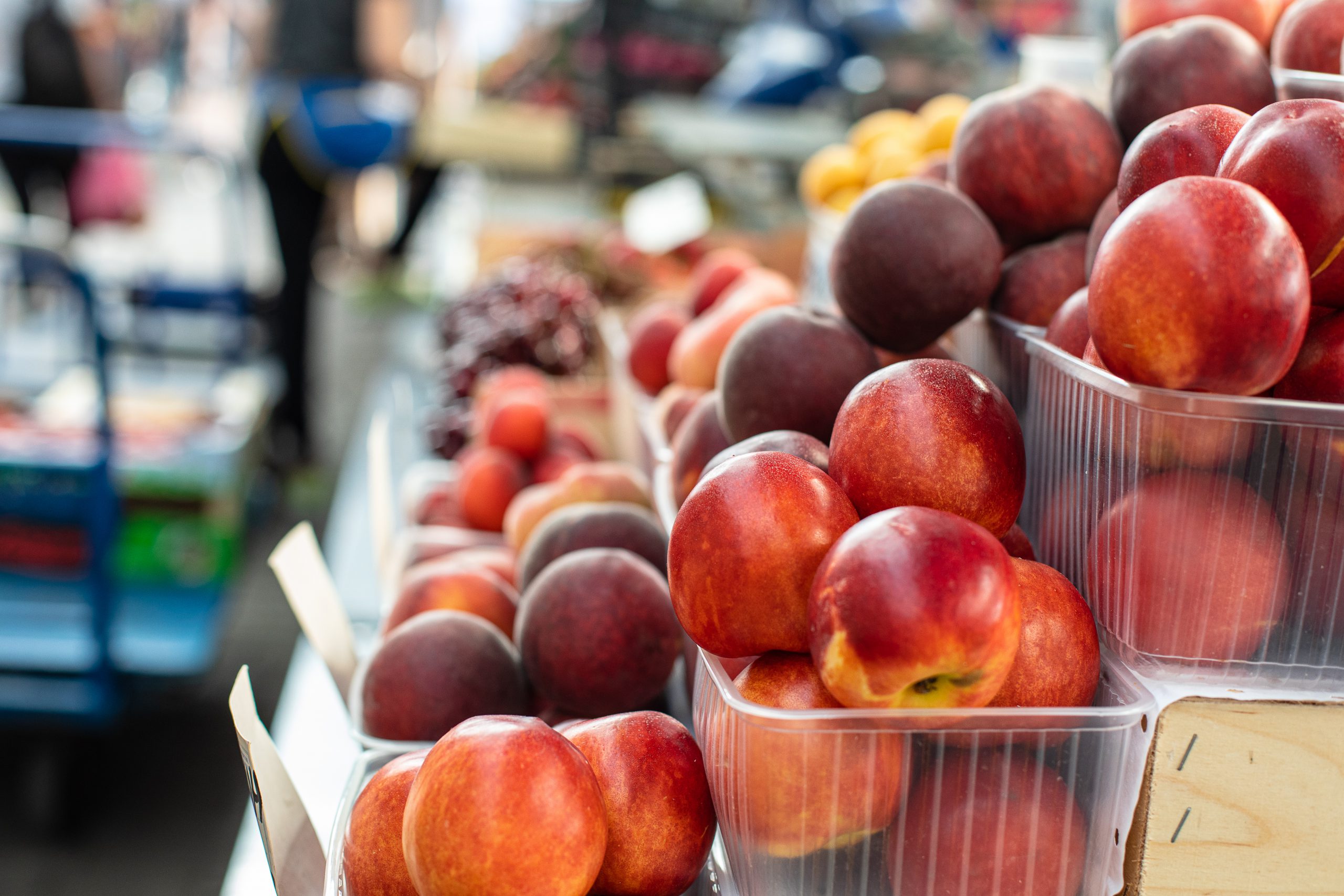 Brasil pode dobrar exportações de frutas para o Reino Unido, aponta estudo de mercado da Apex-Brasil