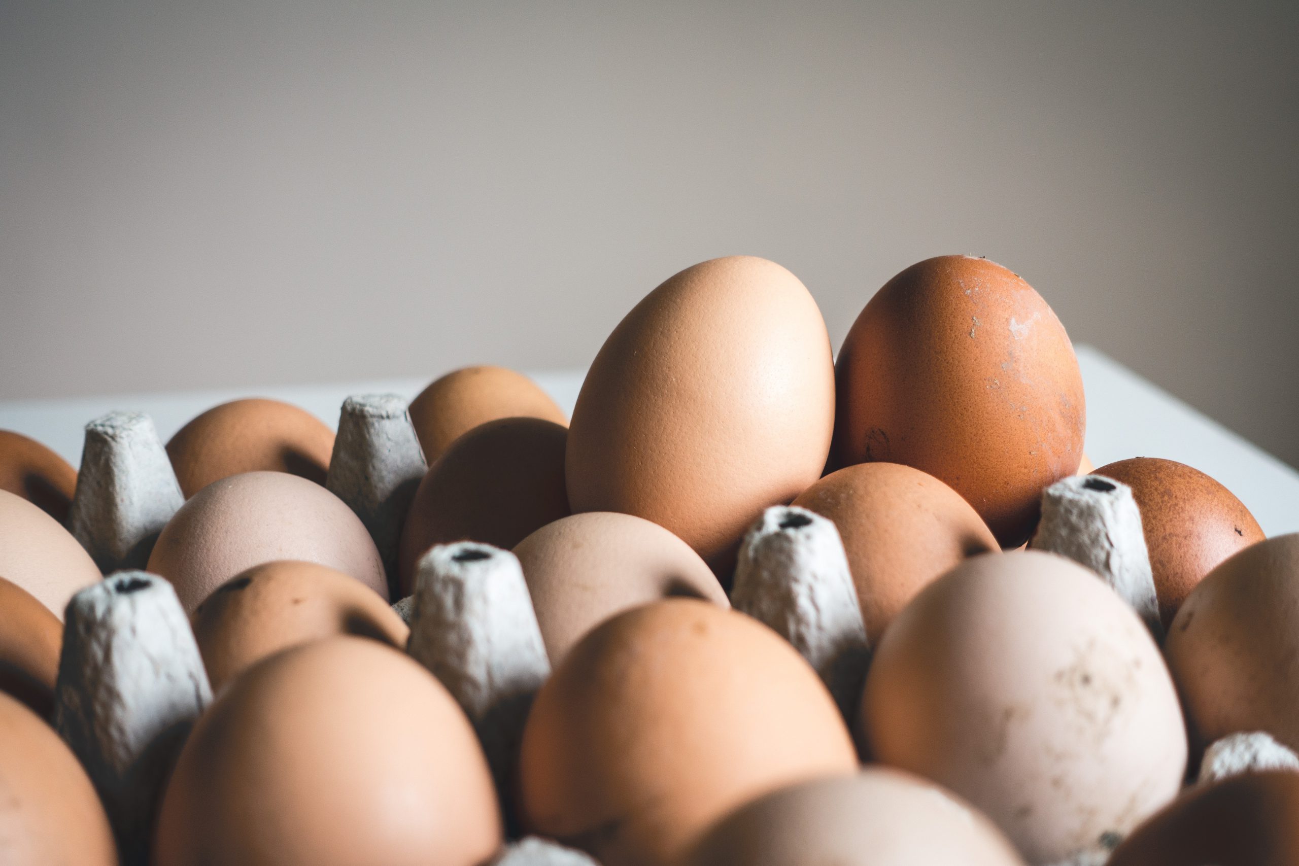 Exportação de ovos entre setembro e janeiro deste ano superam em 137% desempenho de 2020