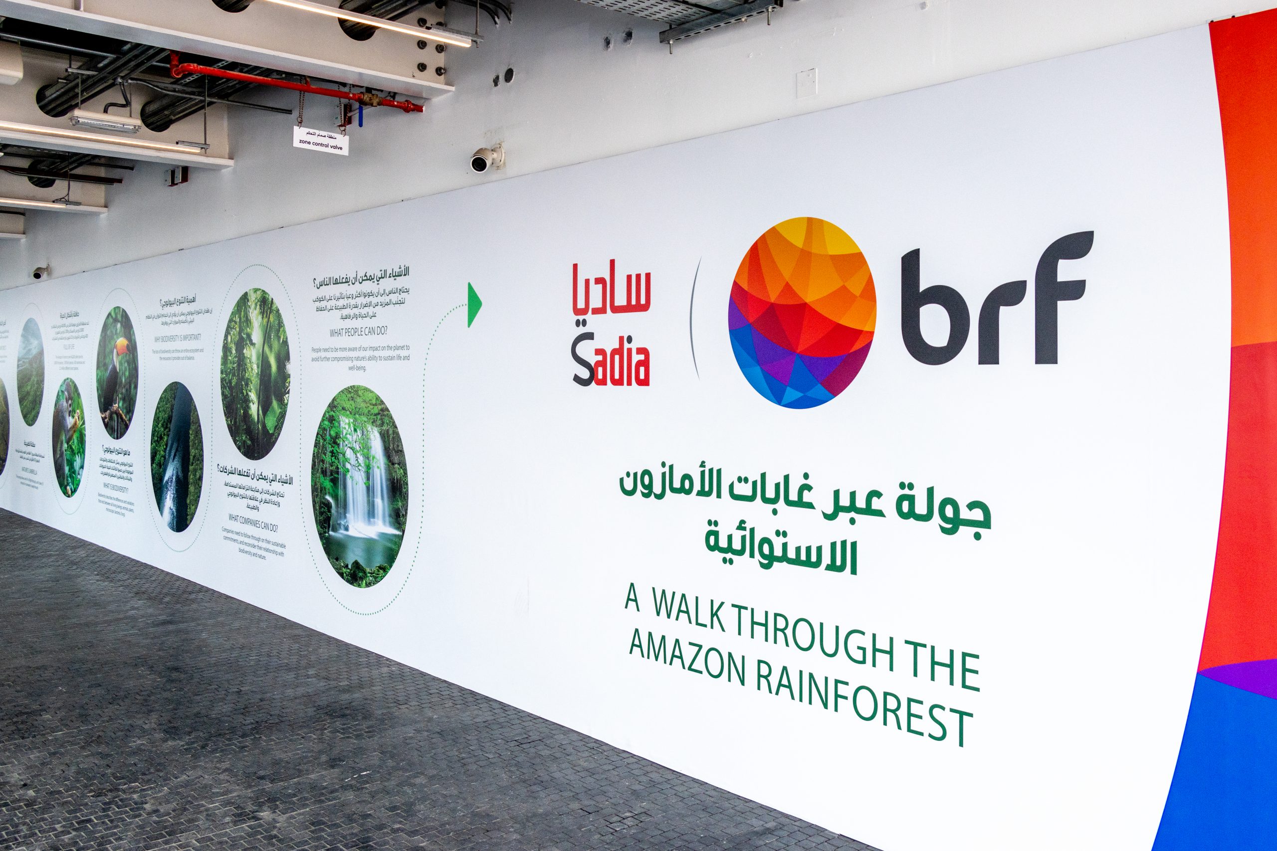 Exposição da BRF na Expo 2020 Dubai fala de sustentabilidade