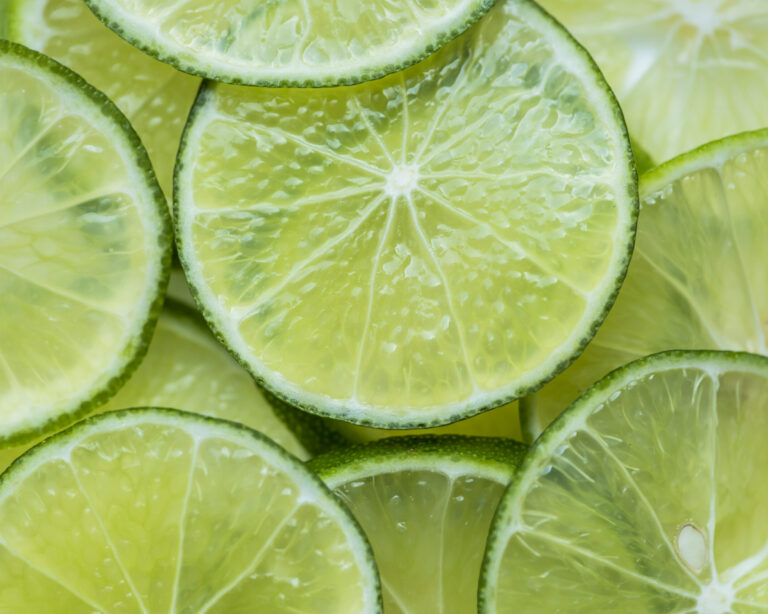 Chile abre mercado para limão taiti Brasileiro
